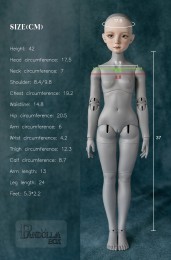 Pandolla Box 1/4 BJD Girl Body